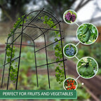 Greenhaus Gardening 7.5 FT Plant Support Arch for Raised Beds