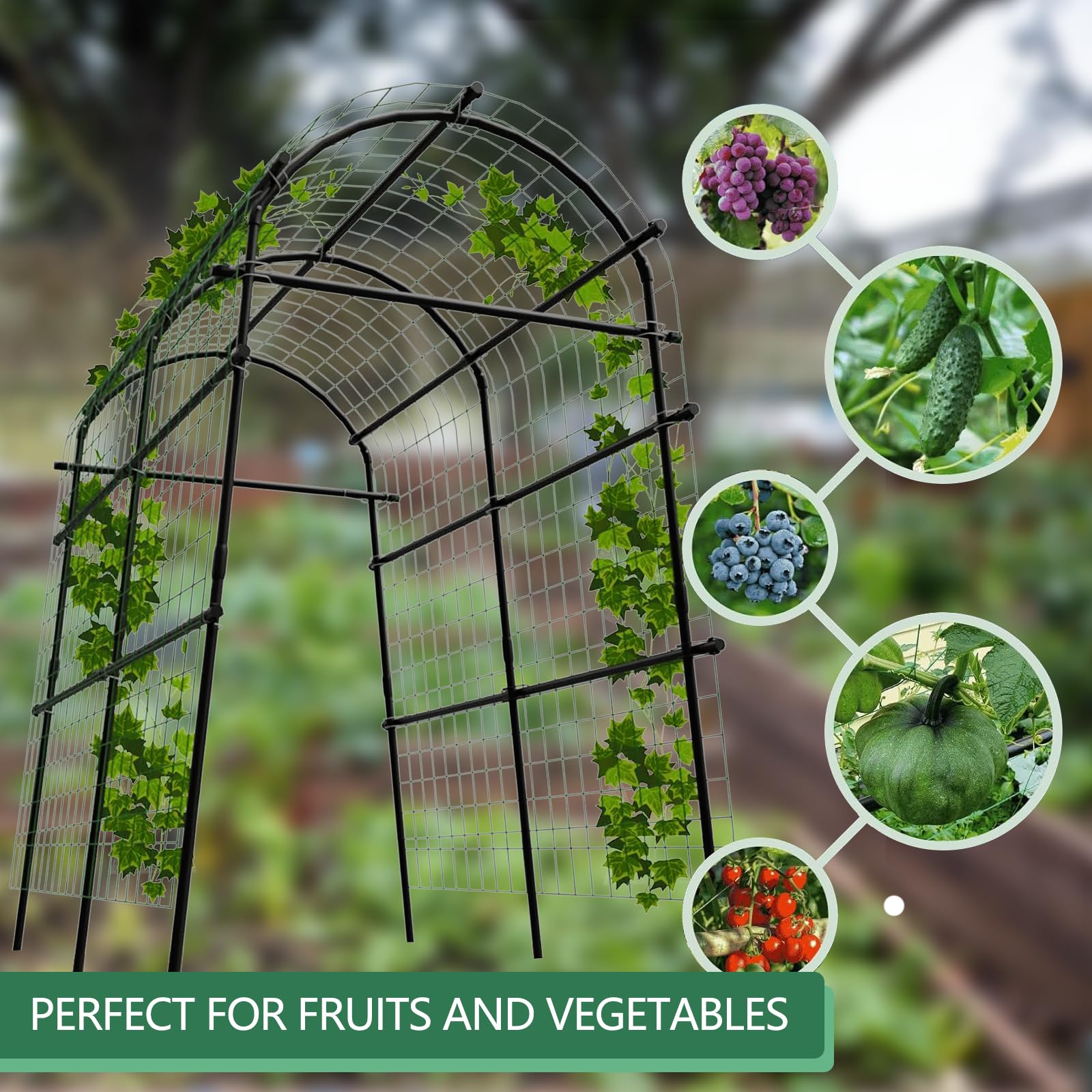 Greenhaus Gardening 7.5 FT Plant Support Arch for Raised Beds