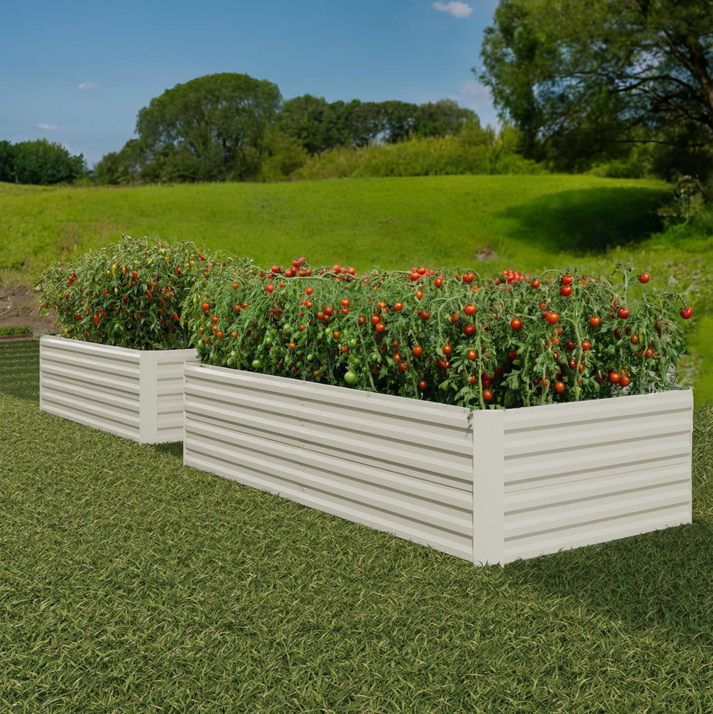 Greenhaus Gardening 2-Pack 8 × 4 × 2 ft Galvanized Raised Garden Beds