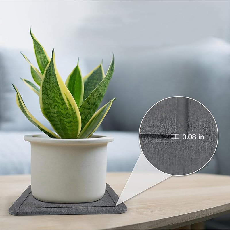 Greenhaus Gardening Diatomite Plant Saucer with Fast-Absorbing Drainage Surface