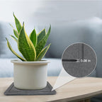 Greenhaus Gardening Diatomite Plant Saucer with Fast-Absorbing Drainage Surface