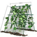 Greenhaus Gardening 47 × 47 in Cucumber Trellis with Net