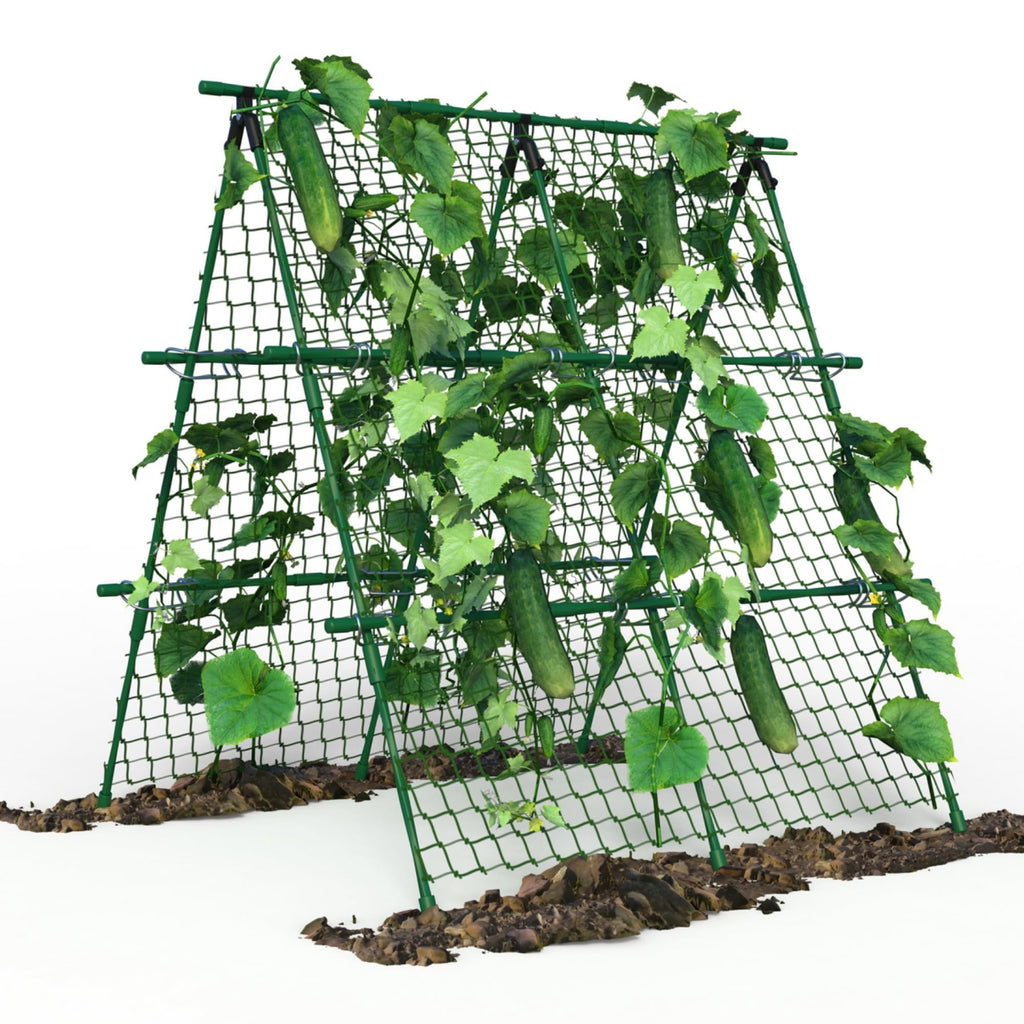 Greenhaus Gardening 47 × 47 in Cucumber Trellis with Net