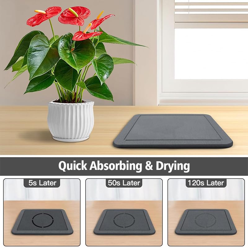 Greenhaus Gardening Diatomite Plant Saucer with Fast-Absorbing Drainage Surface