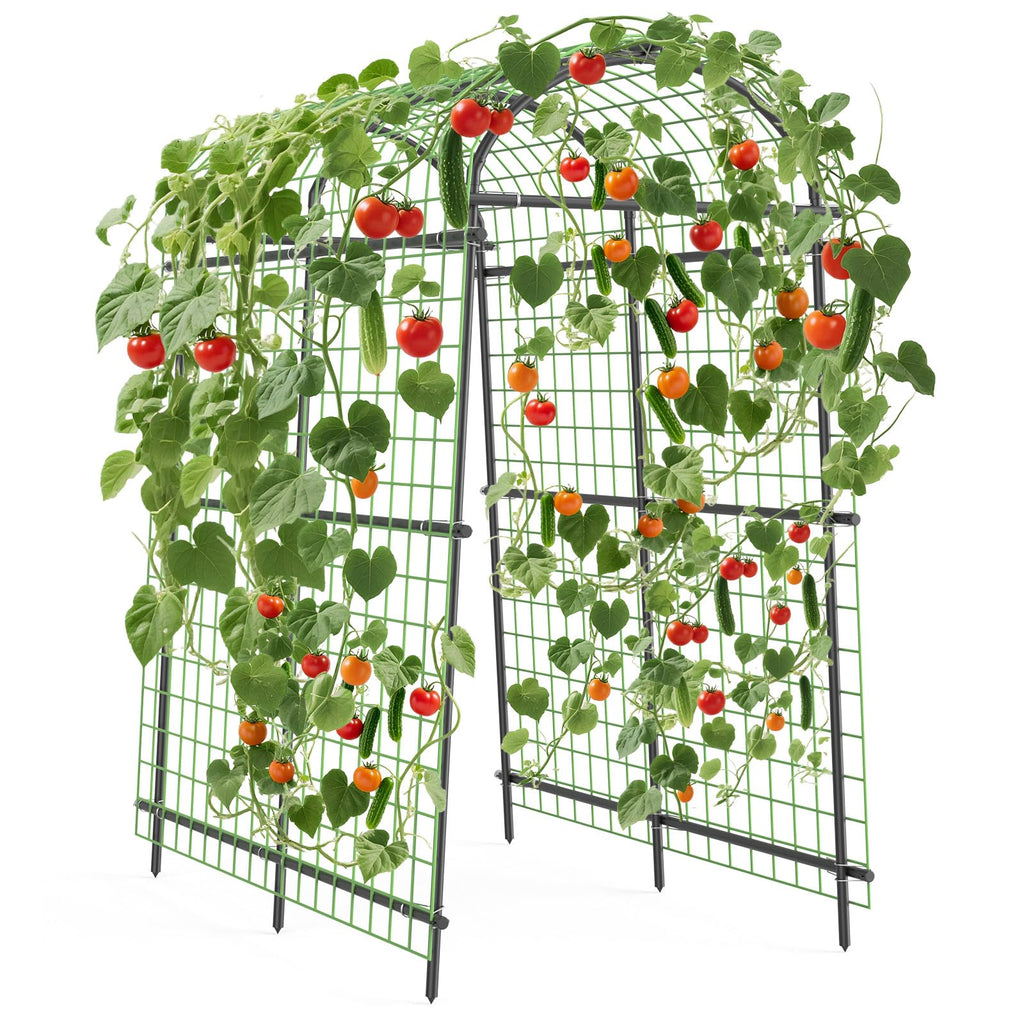 Greenhaus Gardening 7.5 FT Plant Support Arch for Raised Beds