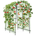 Greenhaus Gardening 7.5 FT Plant Support Arch for Raised Beds
