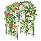 Greenhaus Gardening 7.5 FT Plant Support Arch for Raised Beds