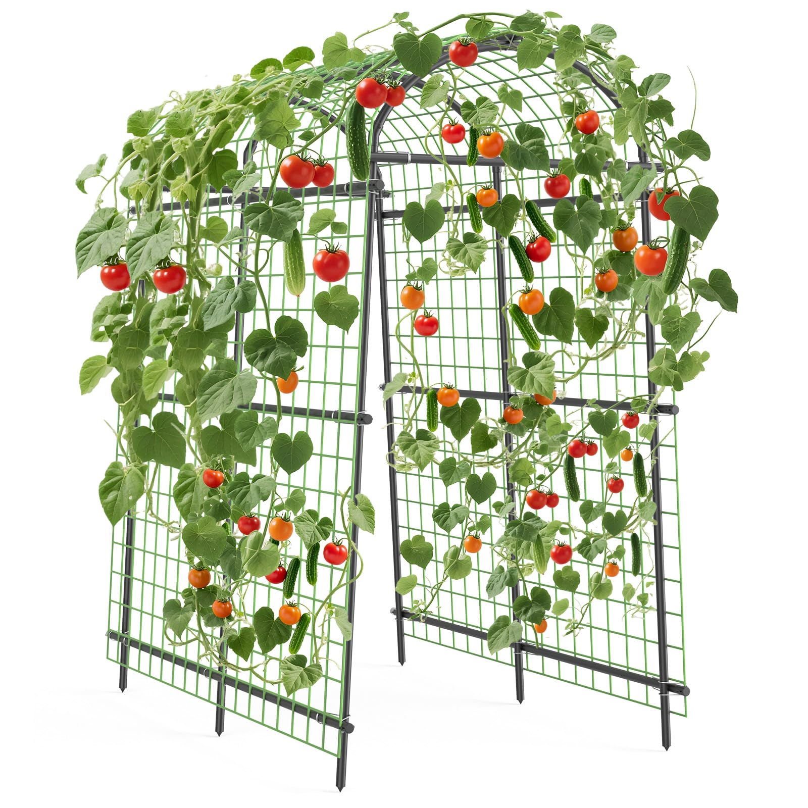 Greenhaus Gardening 7.5 FT Plant Support Arch for Raised Beds