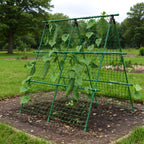 Greenhaus Gardening 47 × 47 in Cucumber Trellis with Net