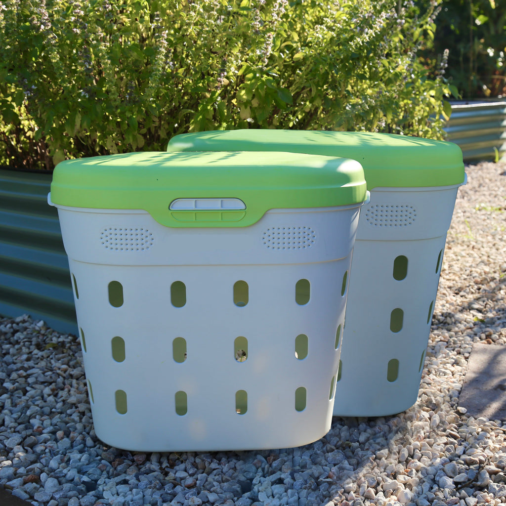 Greenhaus Gardening In-Ground Worm Compost Bin for Garden Beds