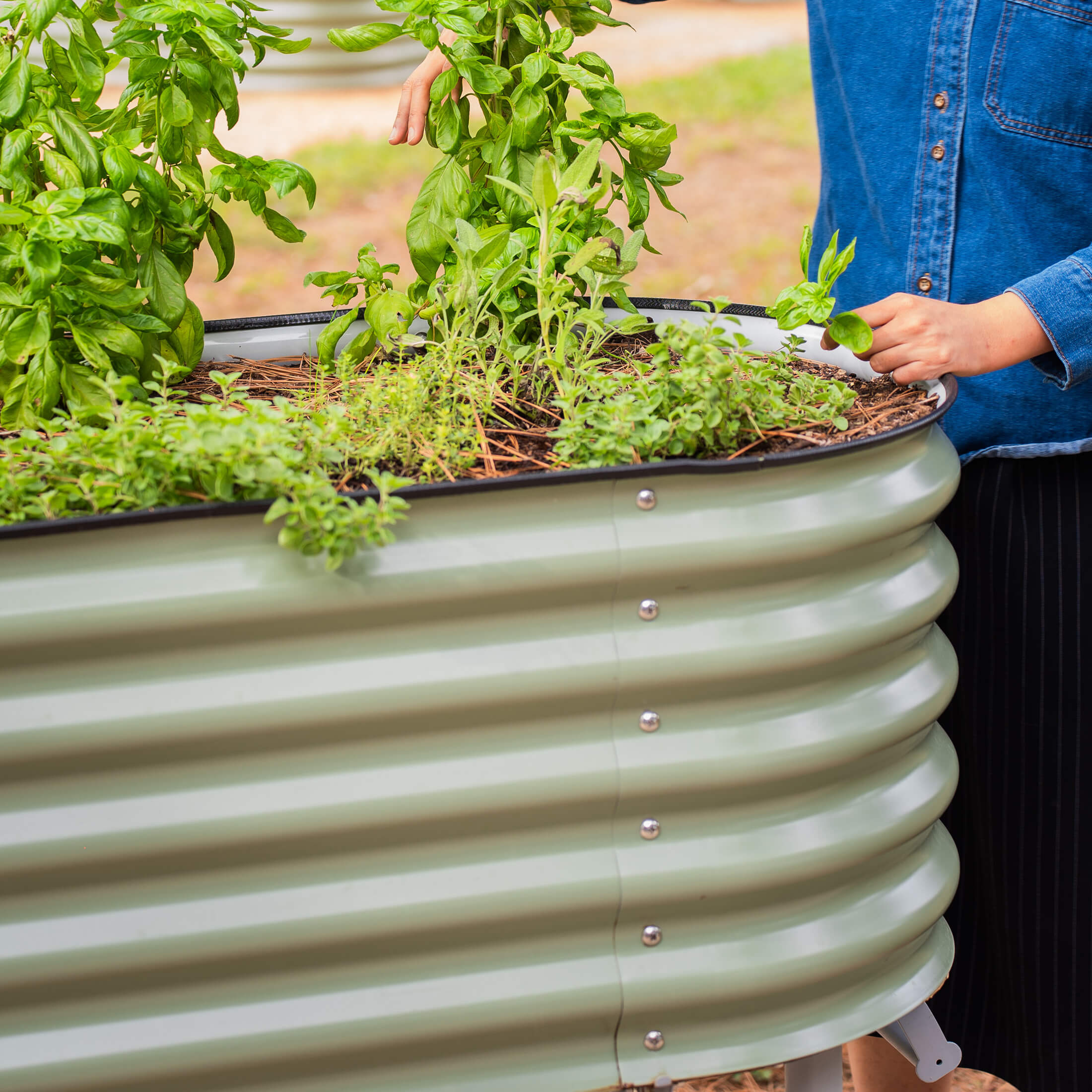 Greenhaus Gardening Self-Watering Elevated Garden Bed with Wheels & Storage Shelf Planter