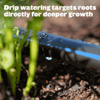 GreenHaus Gardening Expandable Raised Bed Drip Irrigation Kit