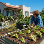 GreenHaus Gardening Expandable Raised Bed Drip Irrigation Kit