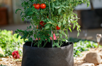 Greenhaus Gardening Premium Garden Grow Bags for Vegetables and Flowers