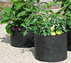 Greenhaus Gardening Premium Garden Grow Bags for Vegetables and Flowers