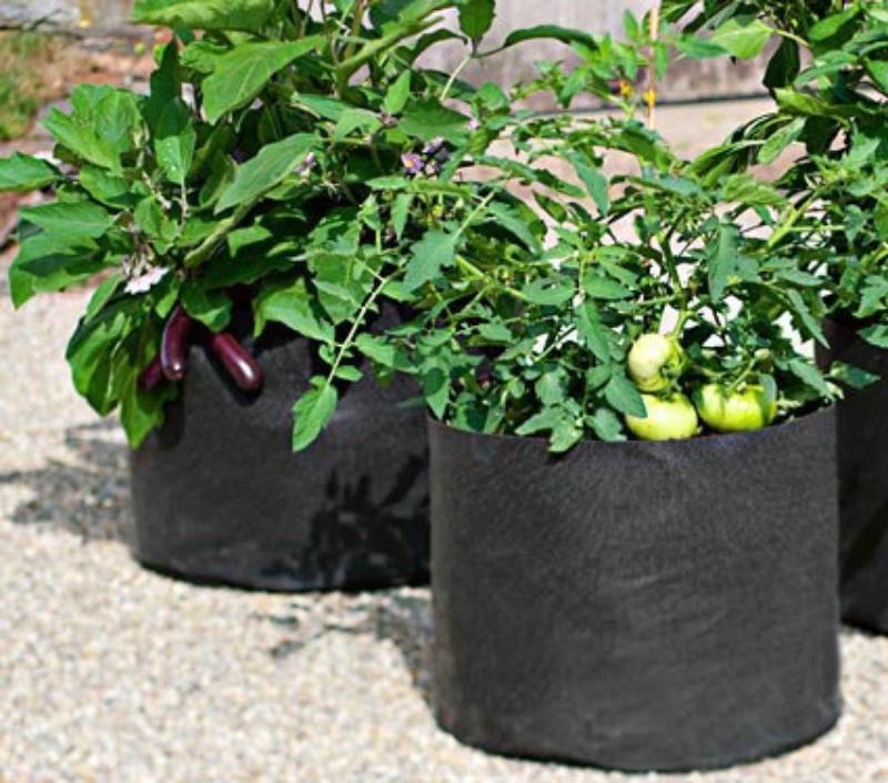 Greenhaus Gardening Premium Garden Grow Bags for Vegetables and Flowers