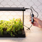 Greenhaus Gardening Grow Light with Tray Low-Profile Countertop Grow System