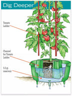 Greenhaus Gardening Tomato Planter Halo Set of 3, Water Saving Grow Support