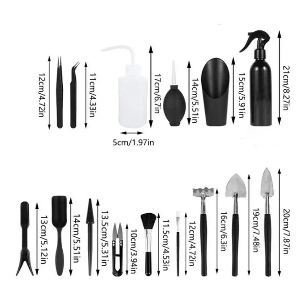 Greenhaus Gardening Succulent Gardening Kit for Repotting and Maintenance
