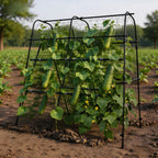 Greenhaus Gardening 5.3 FT Garden Arch Trellis for Raised Beds