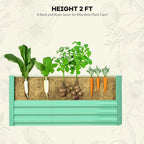 Greenhaus Gardening 2-Pack Deep Raised Garden Planter Boxes
