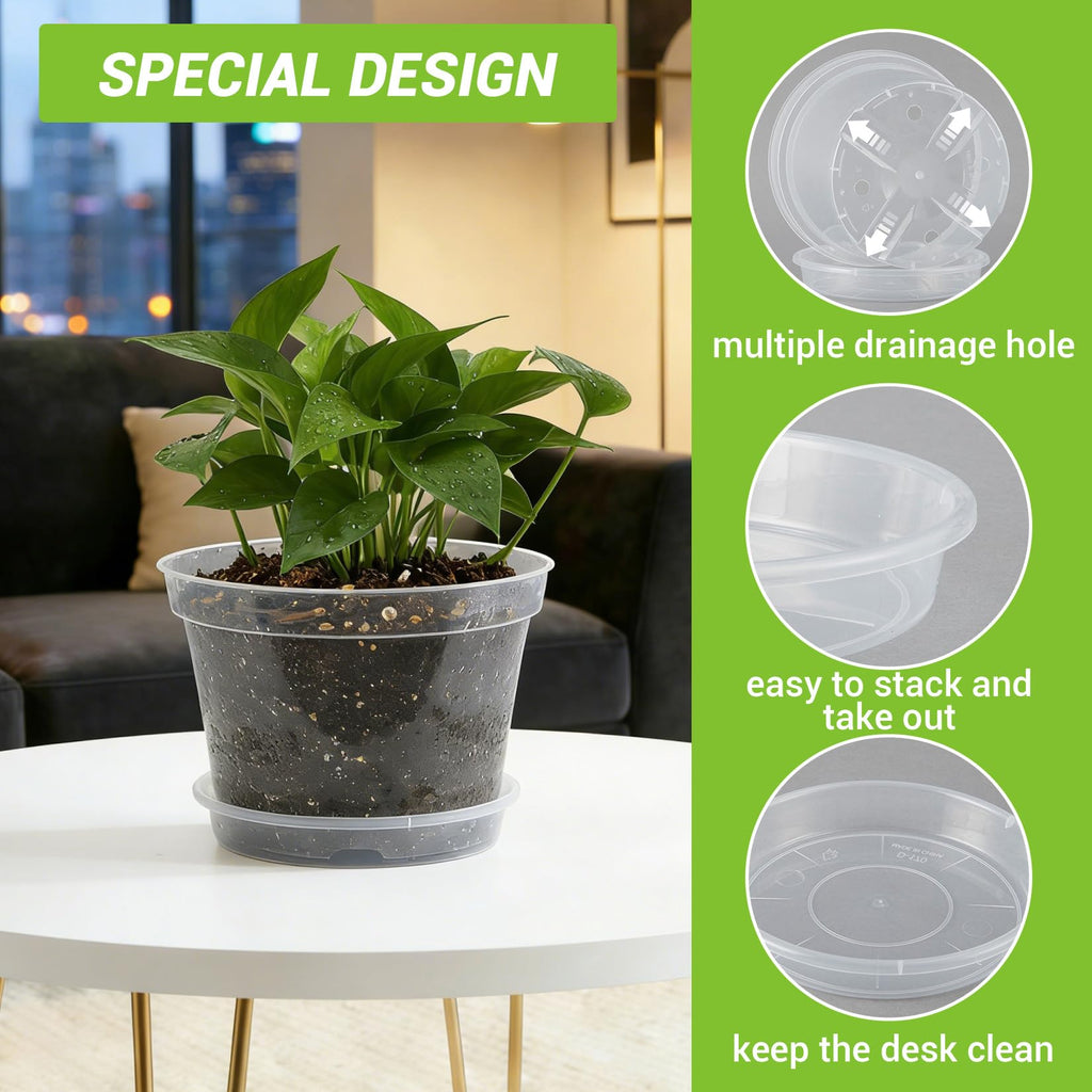 Greenhaus Gardening 8-Inch Clear Nursery Pots with Saucers Set of 12