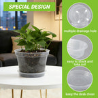Greenhaus Gardening 8-Inch Clear Nursery Pots with Saucers Set of 12