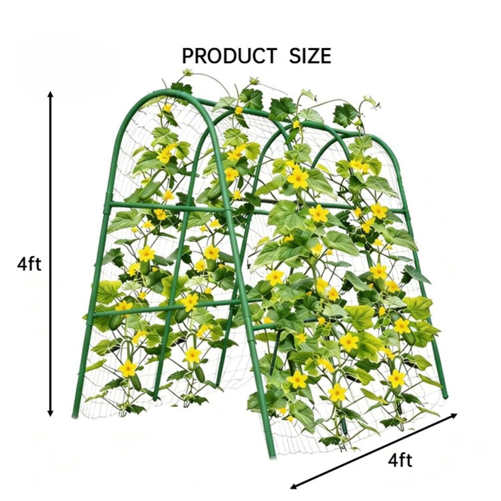 Greenhaus Gardening 4 × 4 ft Garden Arch Trellis for Climbing Plants