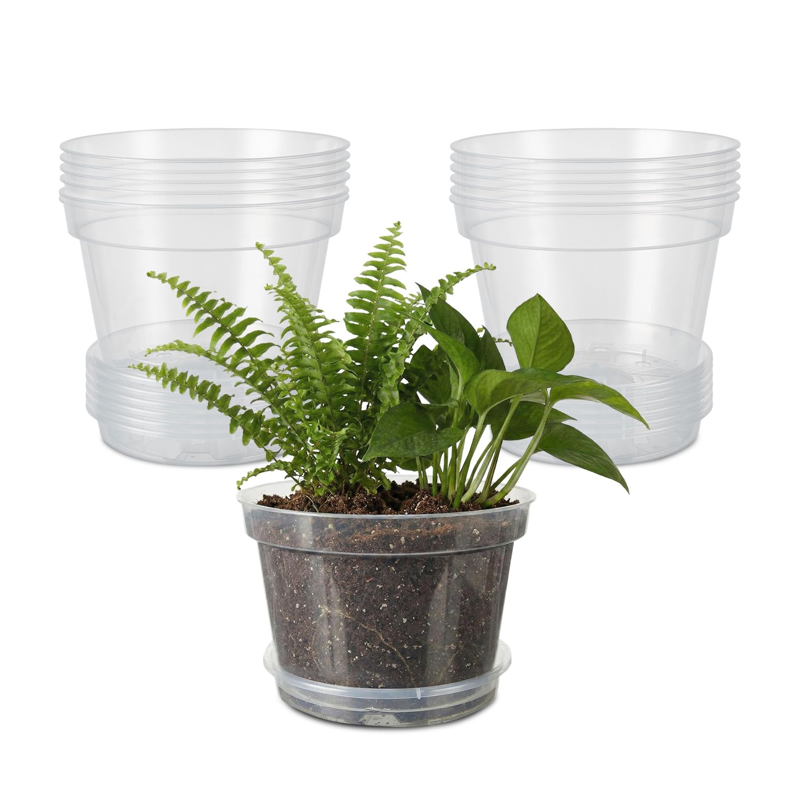 Greenhaus Gardening 8-Inch Clear Nursery Pots with Saucers Set of 12