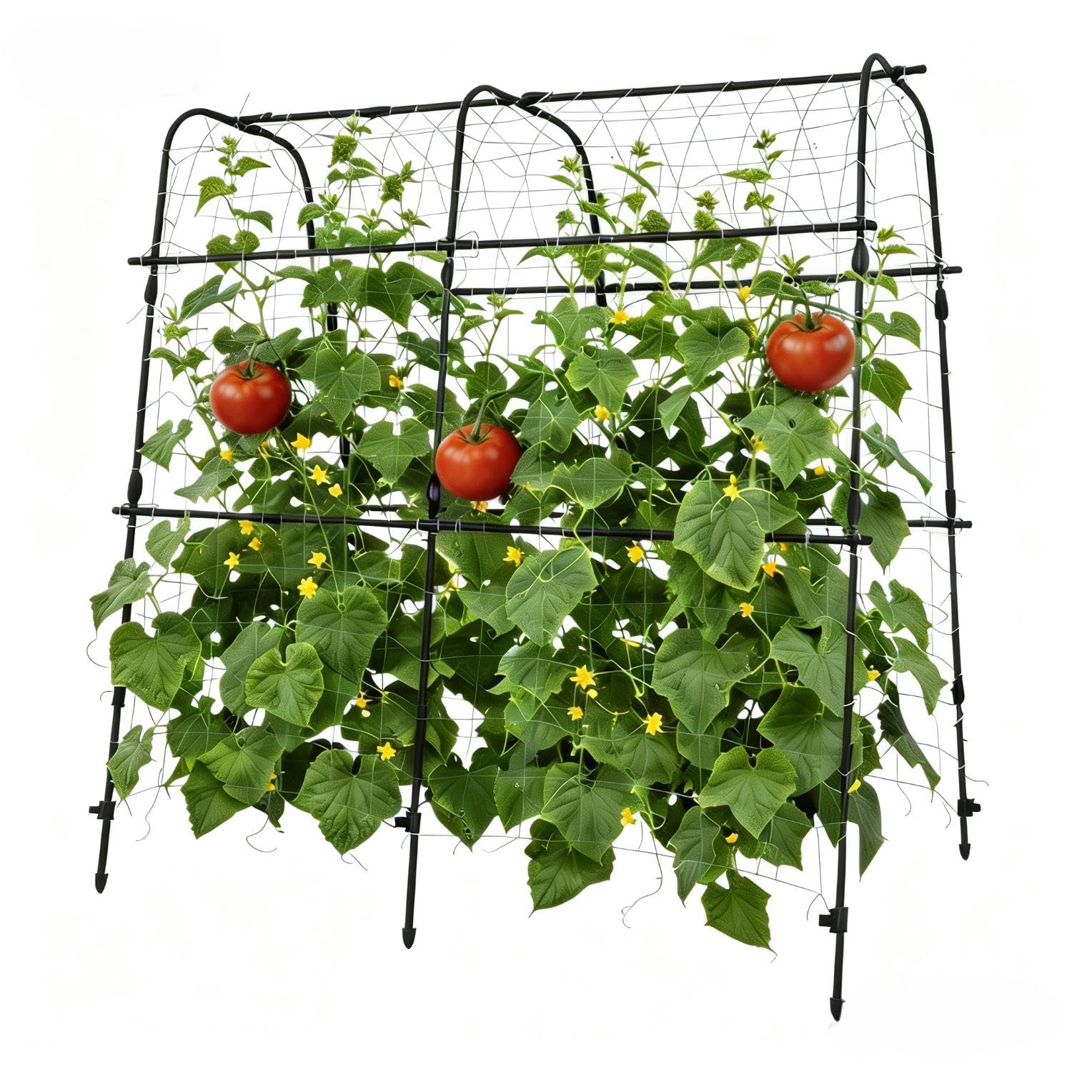 Greenhaus Gardening 5.3 FT Garden Arch Trellis for Raised Beds