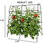 Greenhaus Gardening 5.3 FT Garden Arch Trellis for Raised Beds