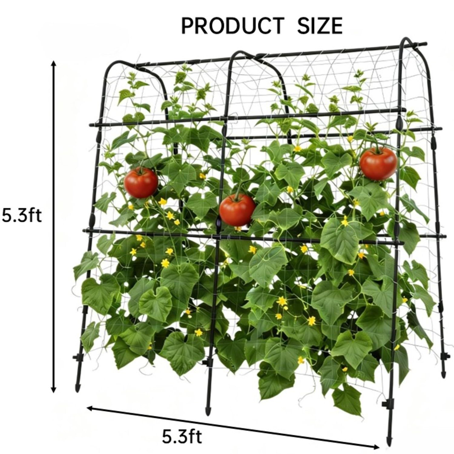 Greenhaus Gardening 5.3 FT Garden Arch Trellis for Raised Beds