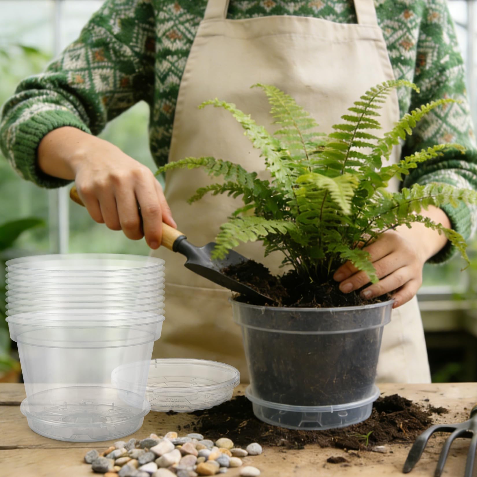 Greenhaus Gardening 8-Inch Clear Nursery Pots with Saucers Set of 12