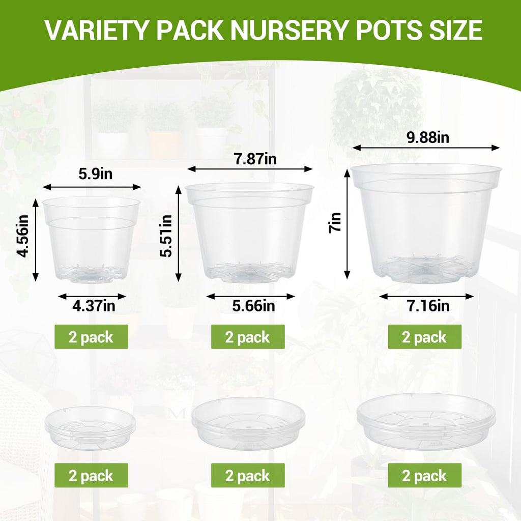 Greenhaus Gardening 6-Pack Clear Plant Pots with Drainage and Saucers