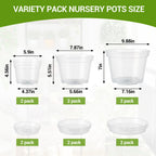 Greenhaus Gardening 6-Pack Clear Plant Pots with Drainage and Saucers