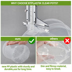 Greenhaus Gardening 6-Pack Clear Plant Pots with Drainage and Saucers