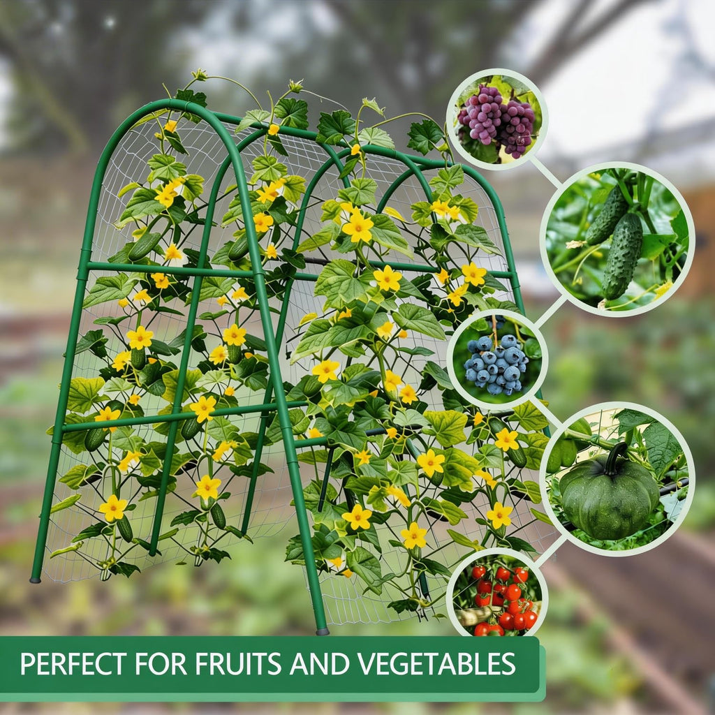 Greenhaus Gardening 4 × 4 ft Garden Arch Trellis for Climbing Plants