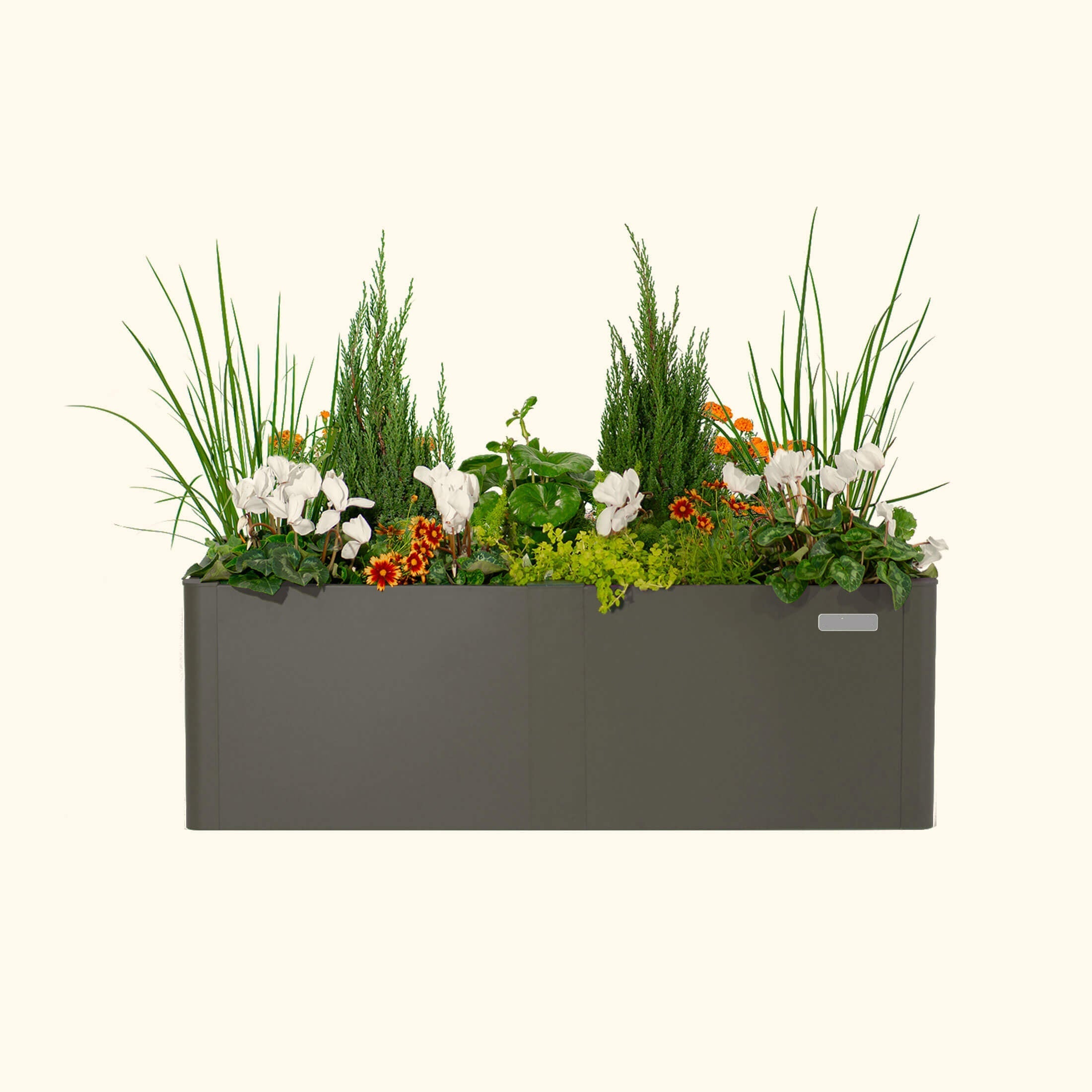 Greenhaus Gardening 17" Tall Modern 27" x 53" Metal Raised Garden Bed