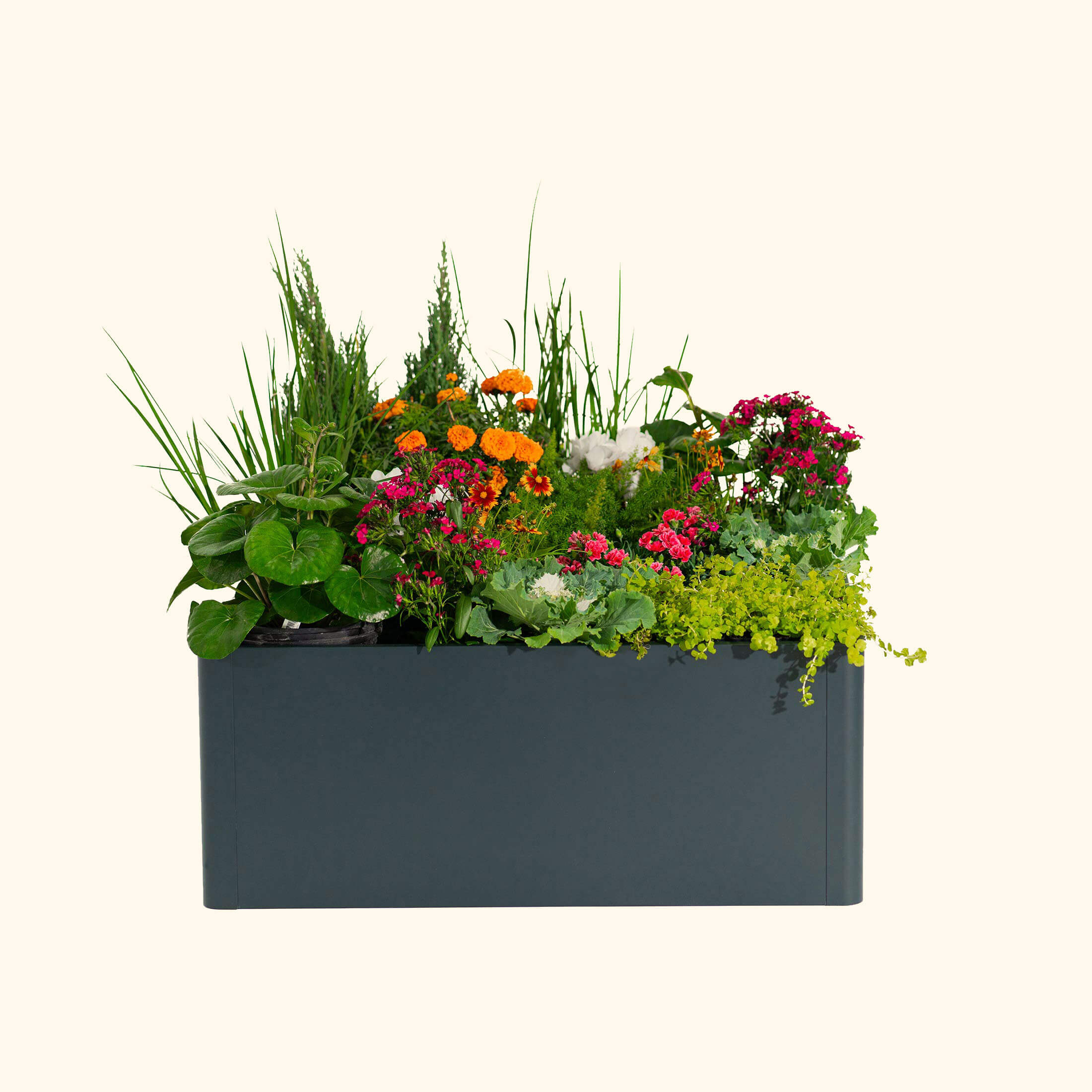 Greenhaus Gardening 17" Tall Modern 42" x 42" Metal Raised Garden Bed