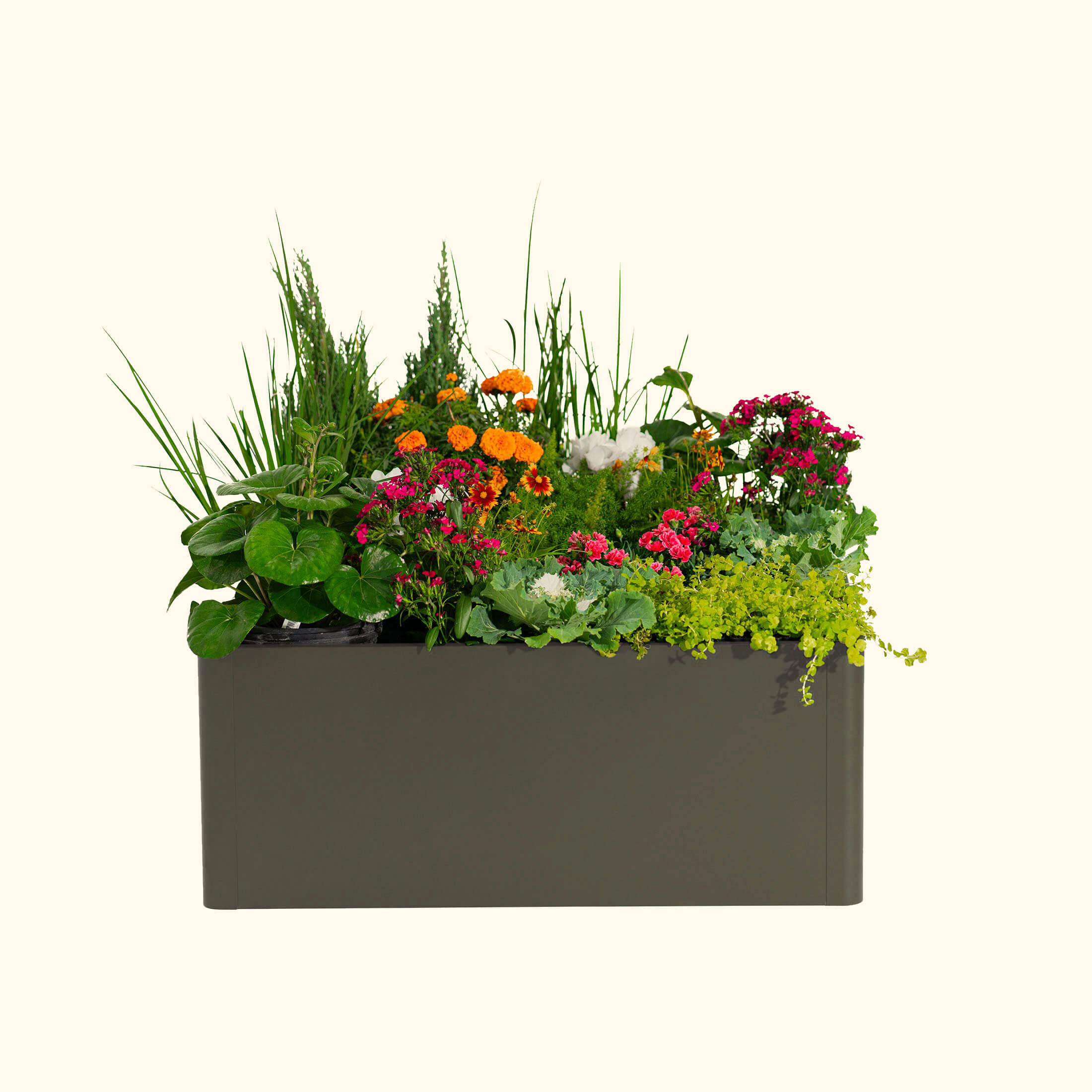 Greenhaus Gardening 17" Tall Modern 42" x 42" Metal Raised Garden Bed