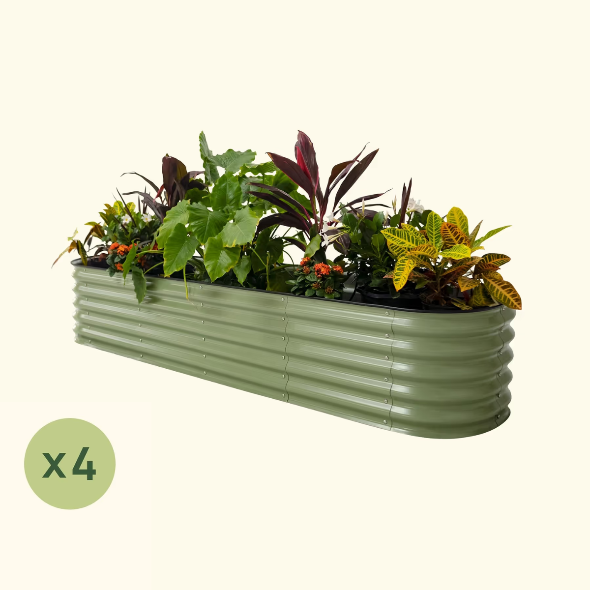 Greenhaus Gardening 4-Pack Raised Garden Bed Kit for Vegetables and Herbs