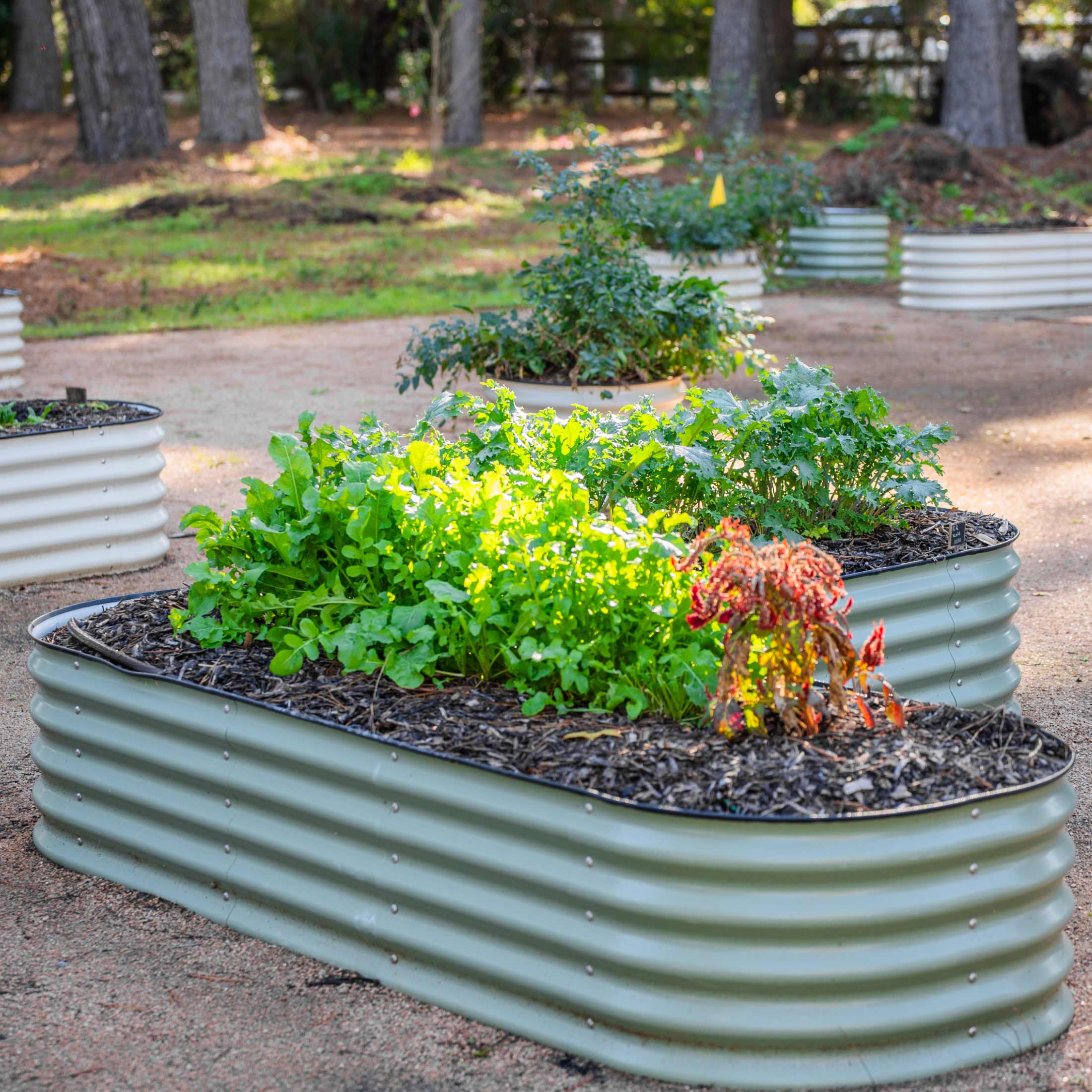 Greenhaus Gardening Large L-Shaped Raised Garden Bed for Corner Gardens