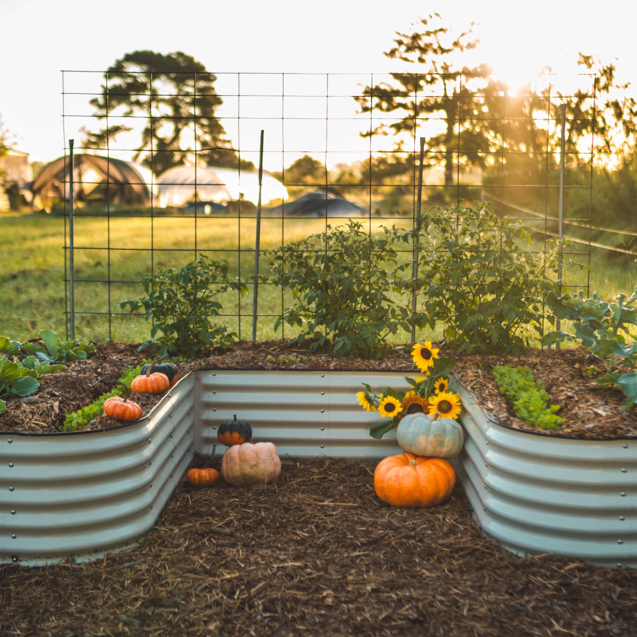 Greenhaus Gardening 17-Inch Raised Garden Bed with U-Shaped Layout