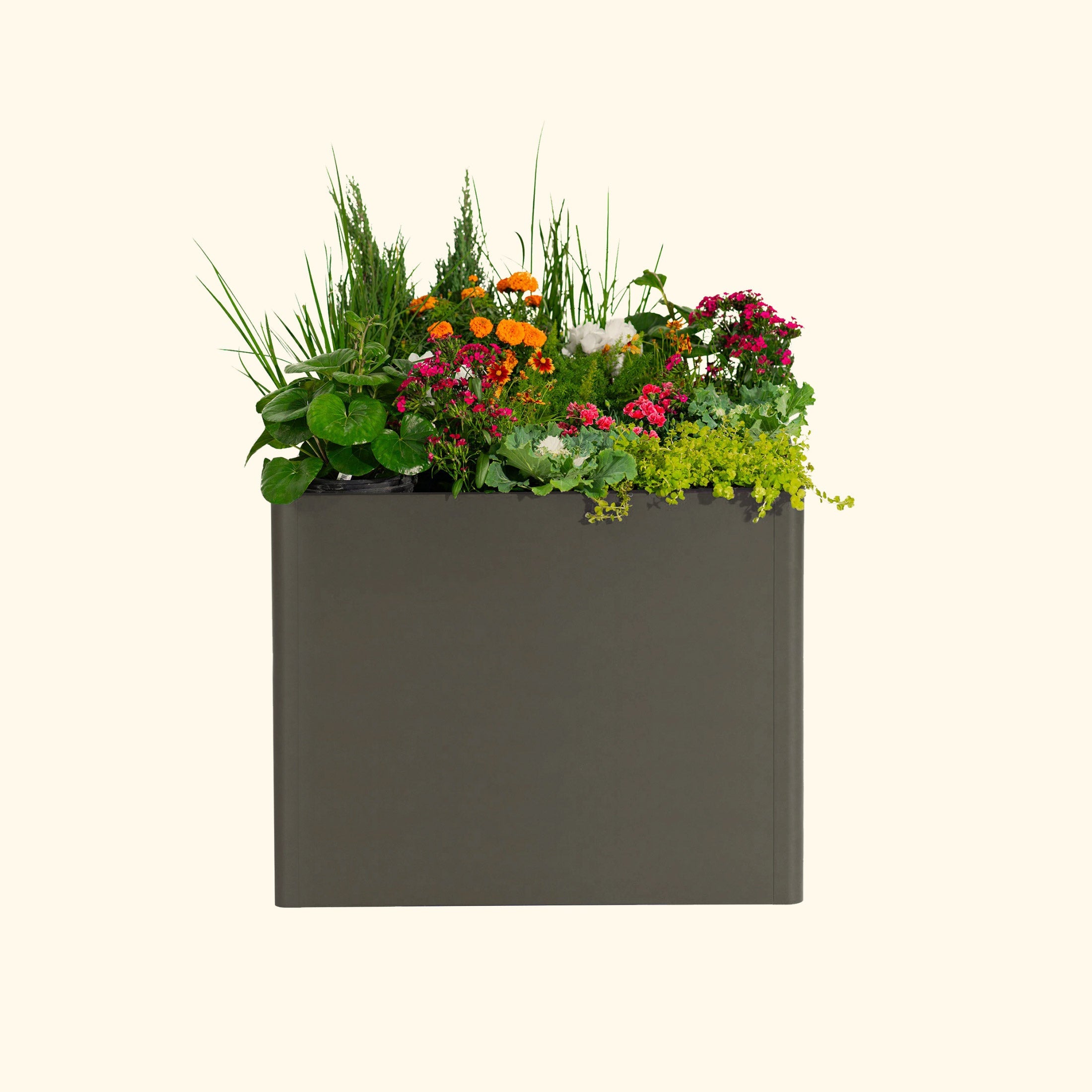 Greenhaus Gardening 32" Extra Tall Modern 42" x 42" Metal Raised Garden Bed