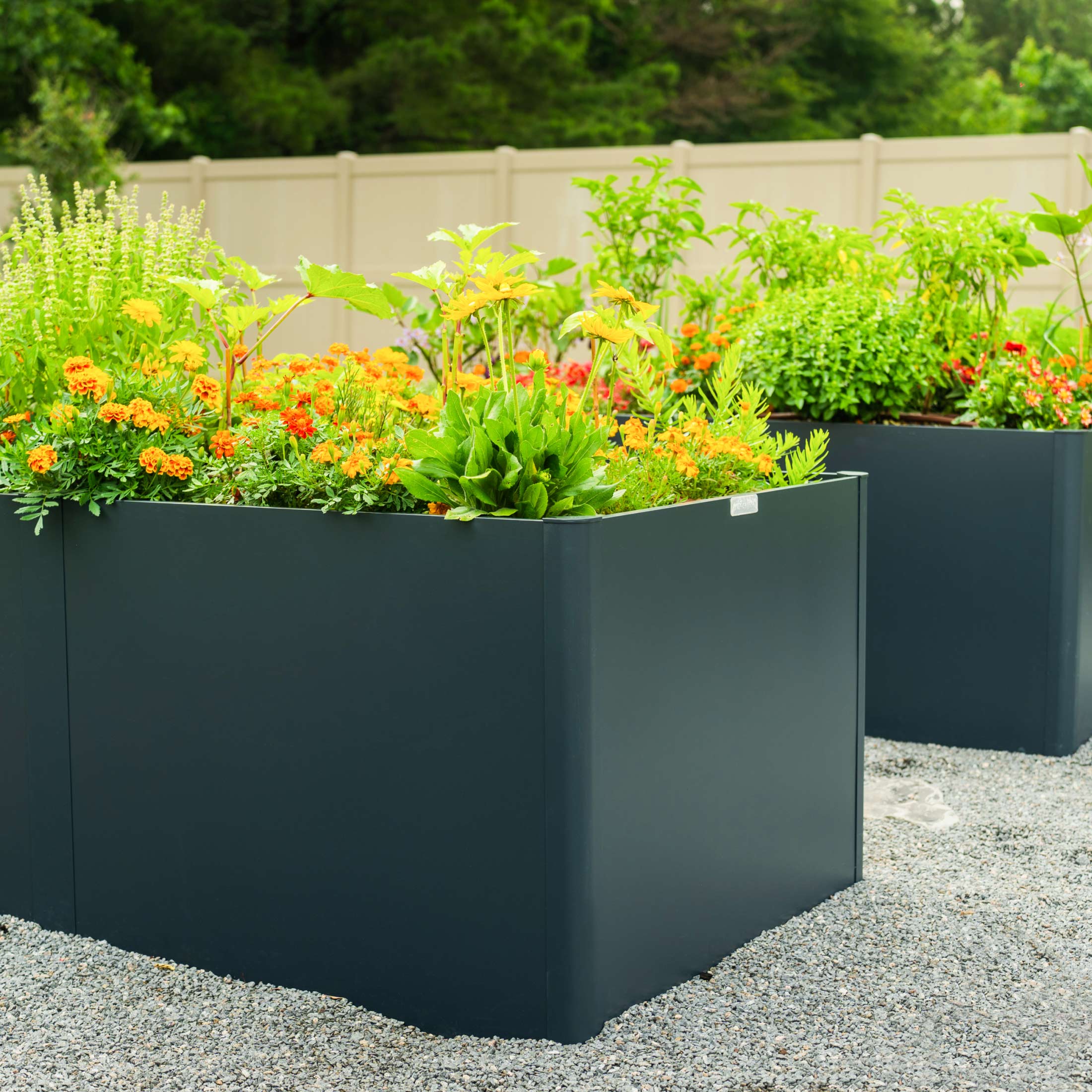 Greenhaus Gardening 42" × 83" Modern Metal Raised Garden Bed with Floor