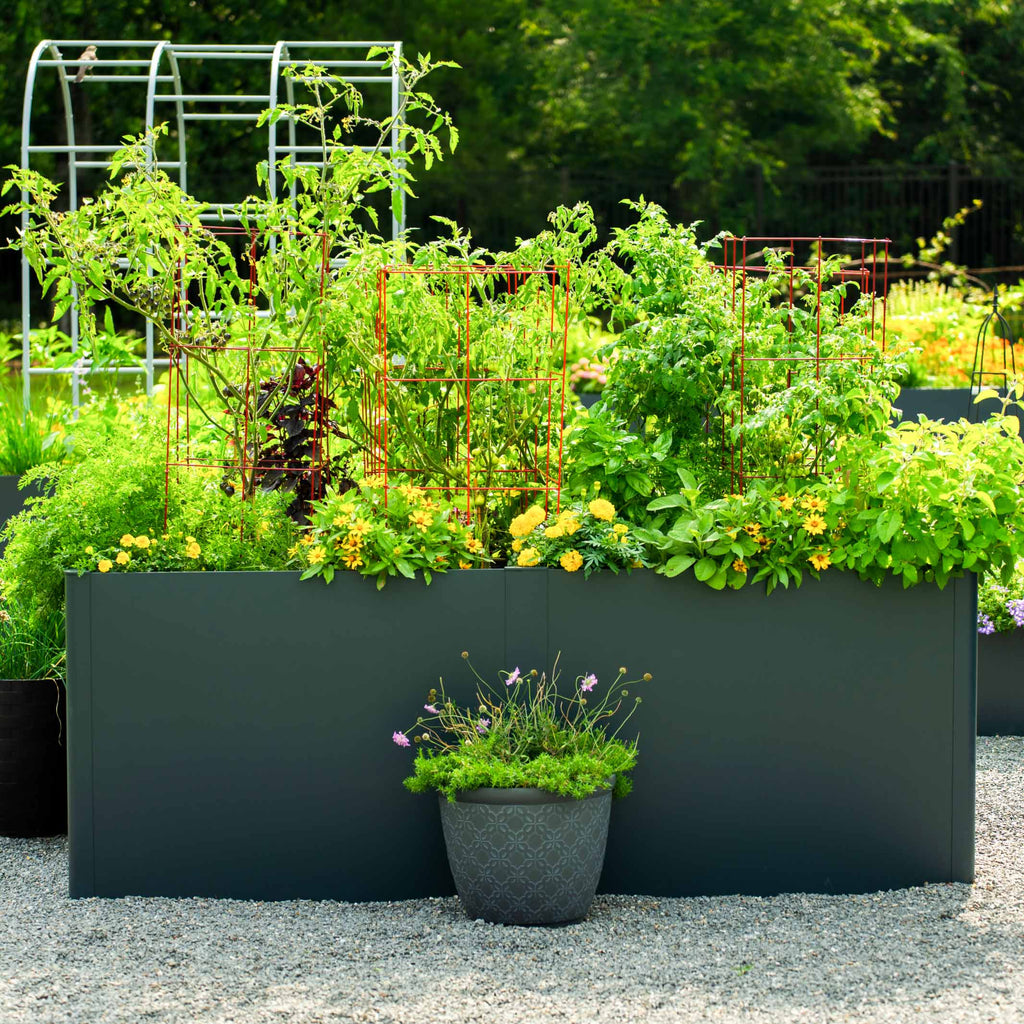 Greenhaus Gardening 42" × 83" Modern Metal Raised Garden Bed with Floor