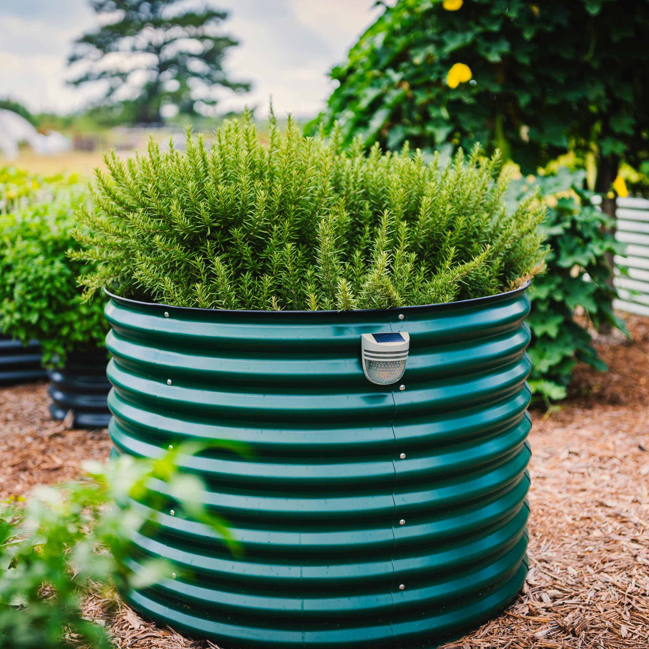 Greenhaus Gardening Extra Tall Round Steel Raised Garden Bed Kit