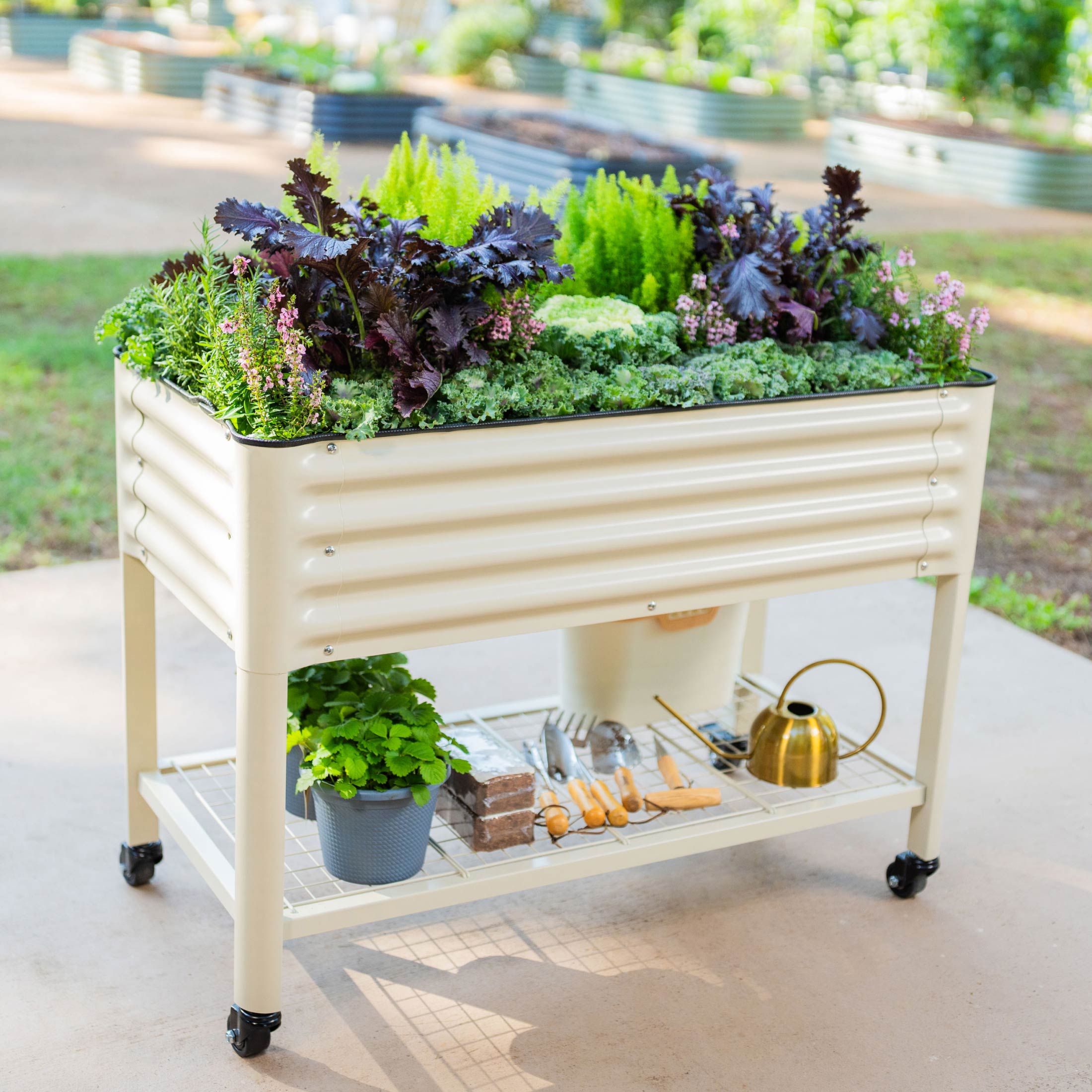 Greenhaus Gardening Elevated Garden Bed 2x4 with Wheels & Drainage Planter