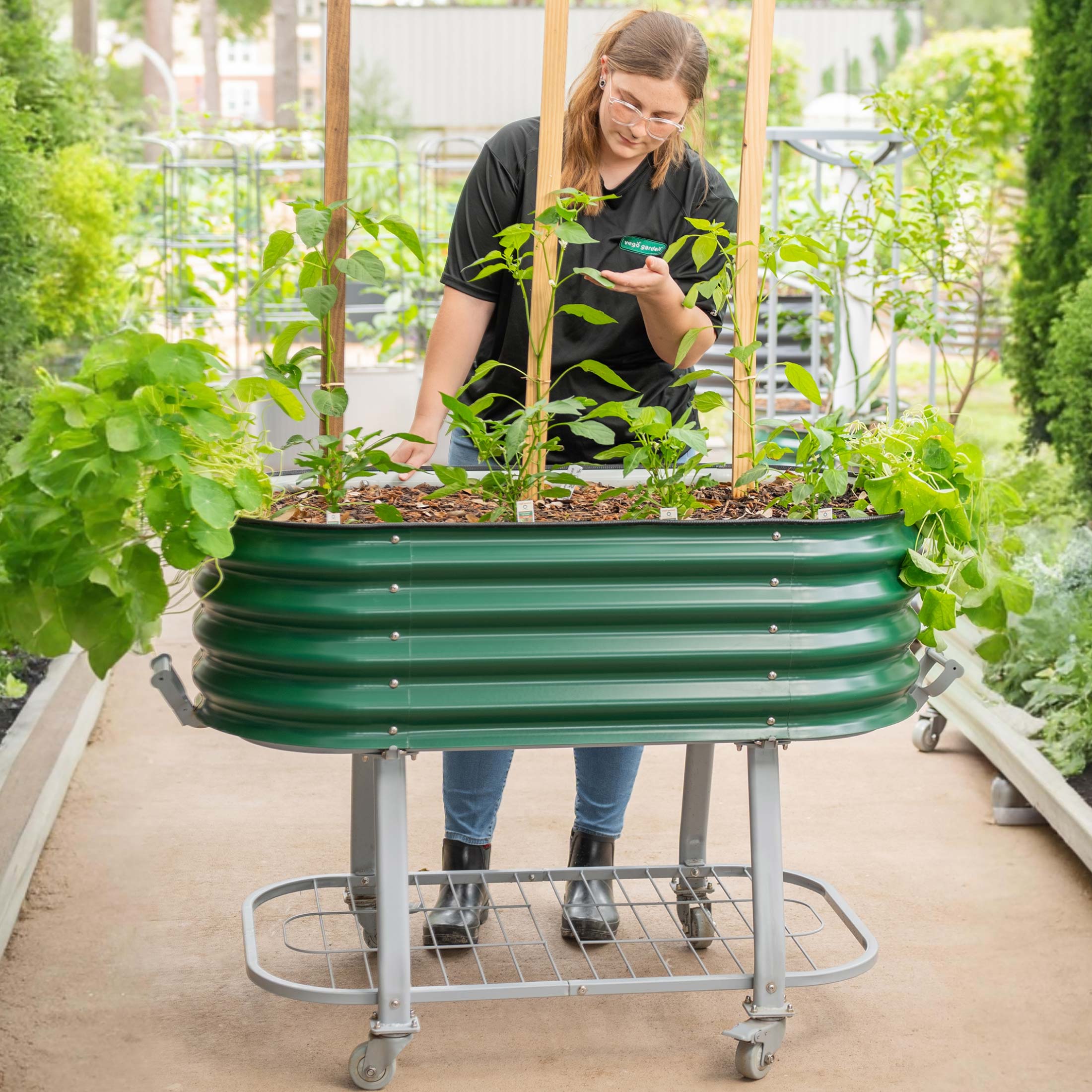 Greenhaus Gardening Self-Watering Elevated Garden Bed with Wheels & Storage Shelf Planter
