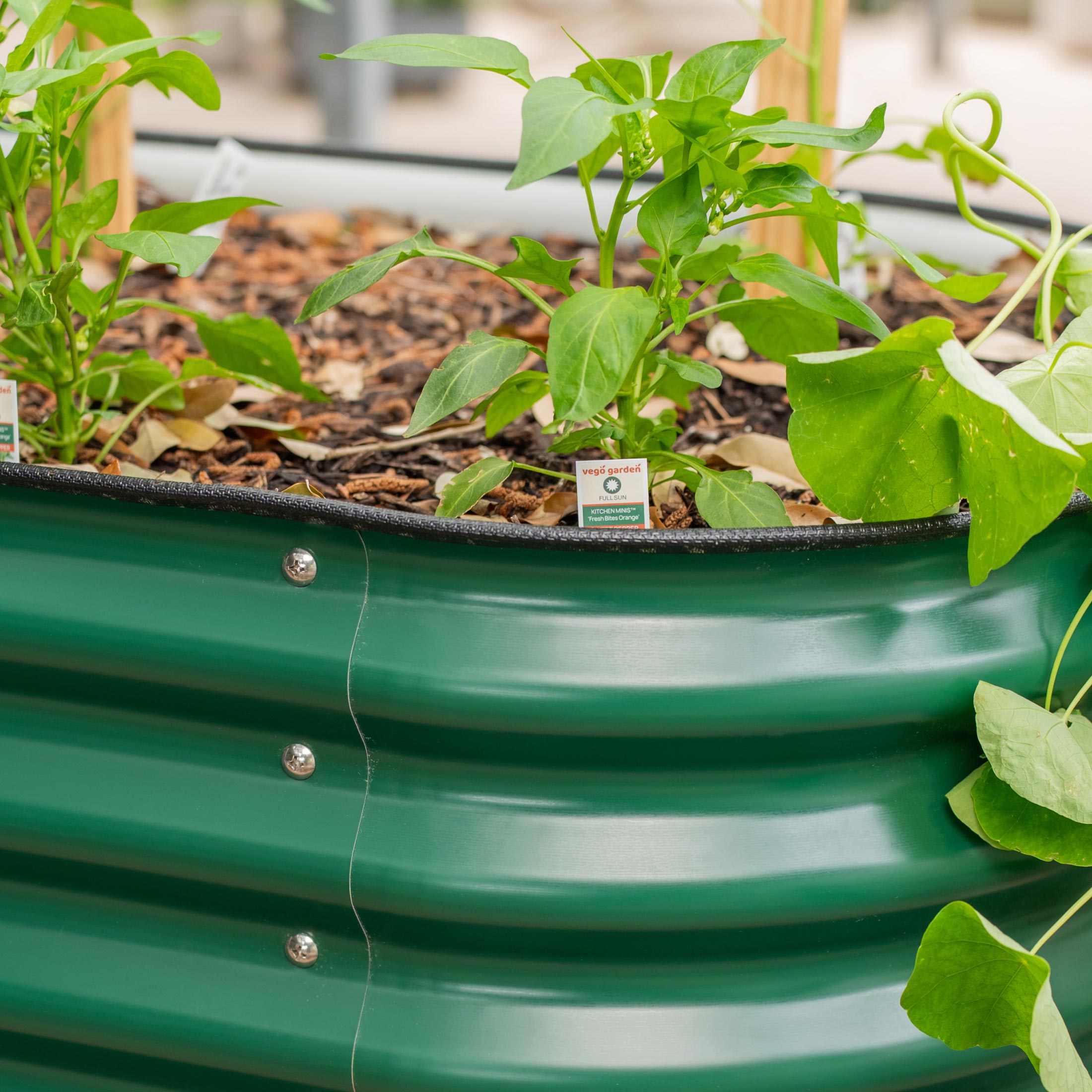 Greenhaus Gardening Self-Watering Elevated Garden Bed with Wheels & Storage Shelf Planter